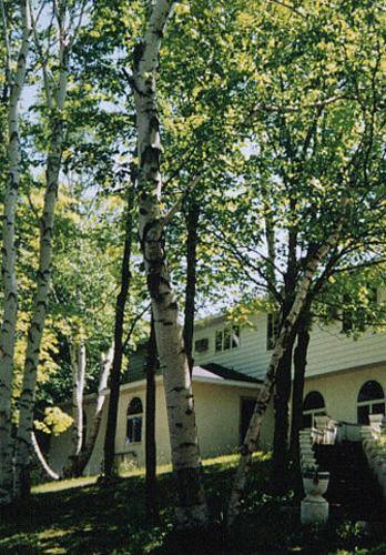 White Birch Inn Sturgeon Bay Bagian luar foto